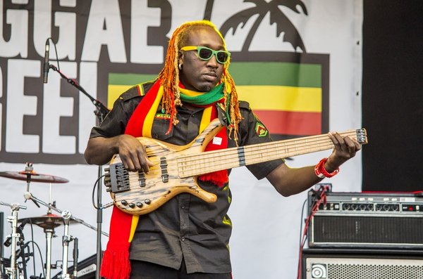 Les rythmes du reggae : Musique et message
