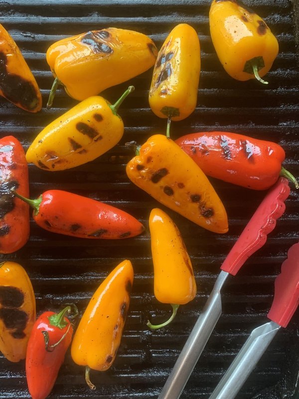 Les avantages de choisir un barbecue à gaz